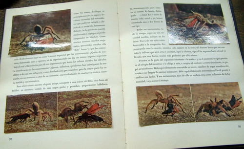 Imagen 4 de 6 de El Desierto Viviente * Camus Huxley Ayme Maurois Mauriac *