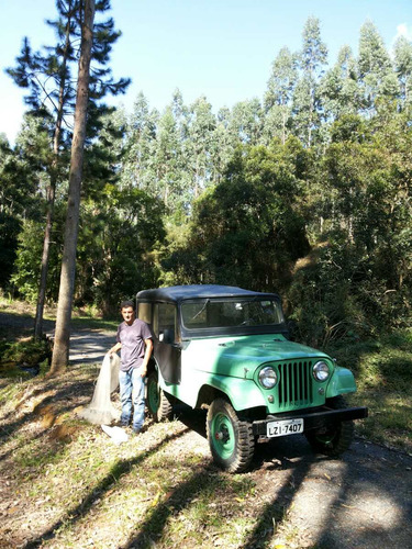 Imagem 4 de 14 de Jeep Willys Cj5 1970