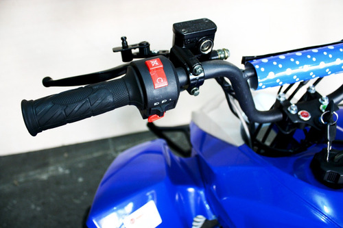 Quadriciclo Xtreme 125cc Com Ré - Barzi Motors