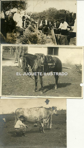 Antiguas Fotos Campo 1928 Gaucho Lote X 3 Pulperia Costumbre