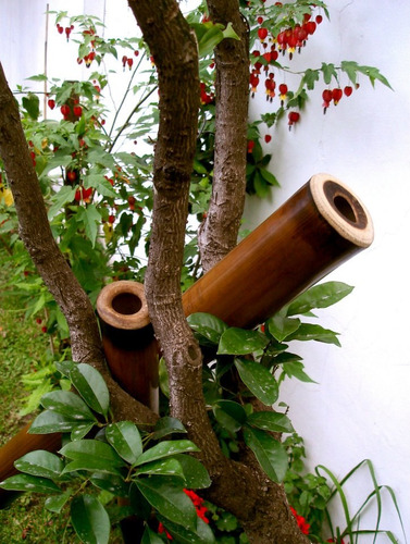 Imagen 3 de 7 de Didgeridoo - Yidaki - Nektar Bambú - Liso - Instrumento