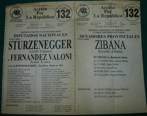 Boleta Elecciones Accion Por La Republica Sturzenegger 1997