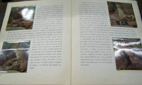 Imagen 3 de 6 de El Desierto Viviente * Camus Huxley Ayme Maurois Mauriac *