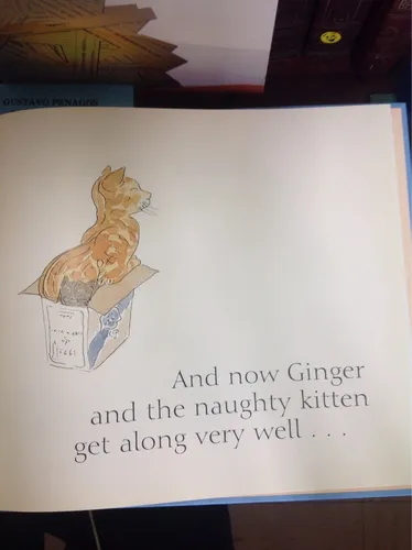 Ginger. Charlotte Voake (Usado)