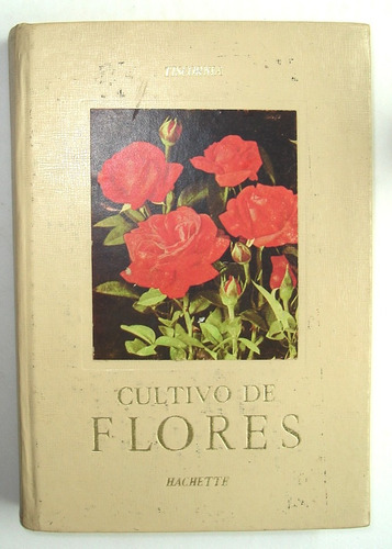 Tiscornia. Cultivo De Flores. Jardinería, Jardines, Cultivos
