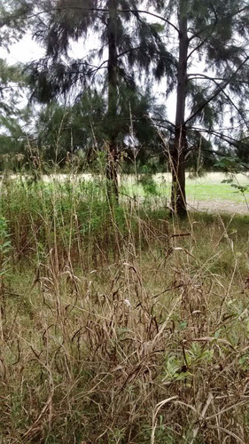 5 Hectáreas Con Mejoras En San Pedro