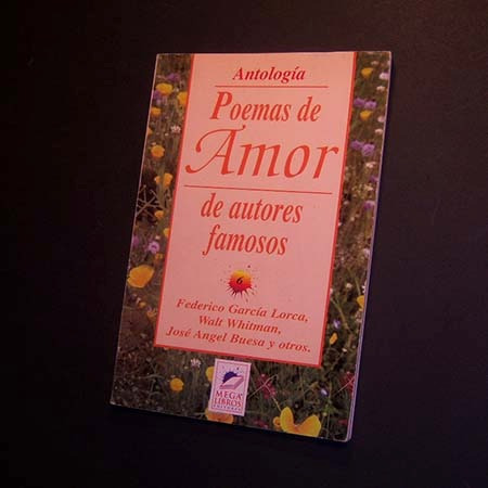 Antología De Poemas De Amor De Autores Famosos 6