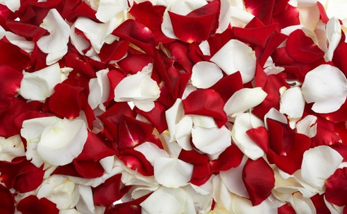 Imagem 2 de 6 de Mil Pétalas De Rosas Artificiais Mistas Vermelho E Branco