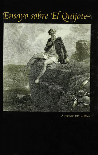 Libro Ensayo Sobre El Qujote Antonio De La Riva Bosch Nuevo