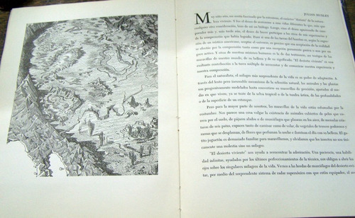 Imagen 5 de 6 de El Desierto Viviente * Camus Huxley Ayme Maurois Mauriac *