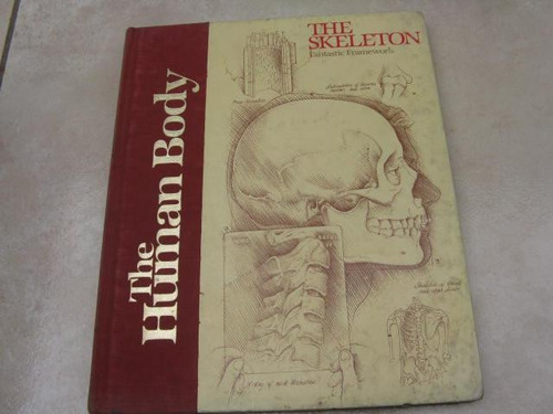 Mercurio Peruano: Libro Cuerpo Humano Esqueleto L38