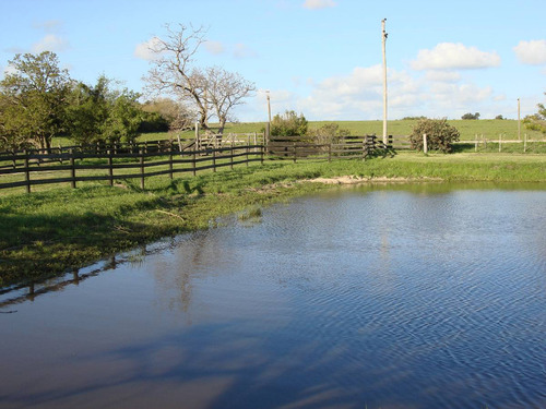 Campo 1ha-1,5ha,lago,vistas,cerca Pza Toros Colonia Dde65mil