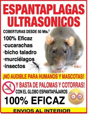 Ratas Murcielagos Insectos Ultrasonico Ultrasonido Ls912 - El Emporio De  Los Espantaplagas En Congreso Capital | Envío gratis
