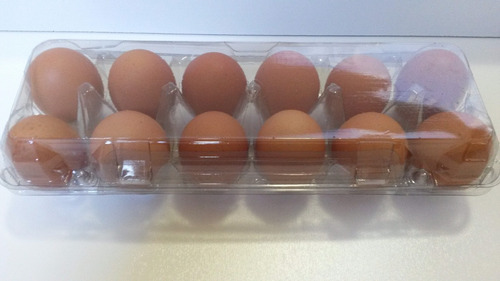 Embalagem Para 12 Ovos De Galinha 50 Unid