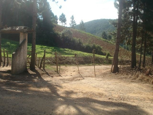 Imagem 4 de 15 de Sítio Em Ibiúna - 145.200m2 | 31497 - 31497