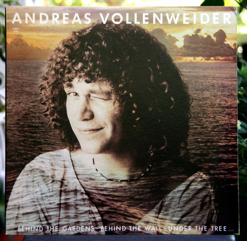 Behind The Gardens  Andreas Vollenweider 10ptos Mvt