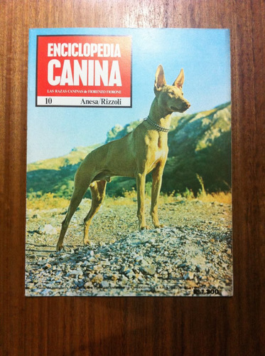 Enciclopedia Canina Fascículo Nº 10 Antigua