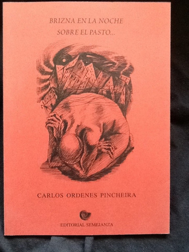 Brizna En La Noche Sobre El Pasto - Carlos Órdenes