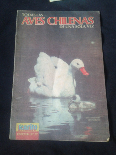 Especial Icarito Aves Chilenas N° 62