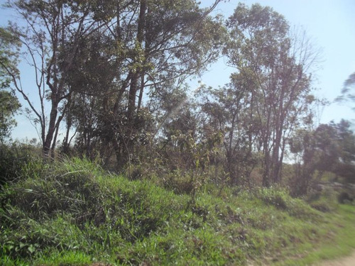 Imagem 3 de 8 de 2 Alqueires Bairro Dos Gatos | 42984 - 42984