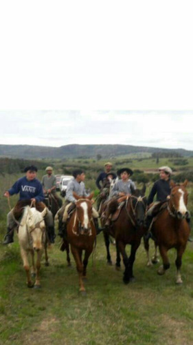 Yegua Criolla Mansa De Toda Confiansa