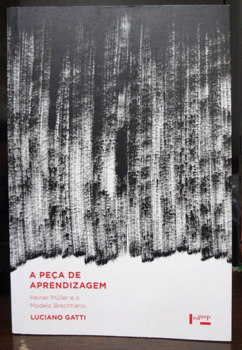 A Peça De Aprendizagem - Luciano Gatti (novo)