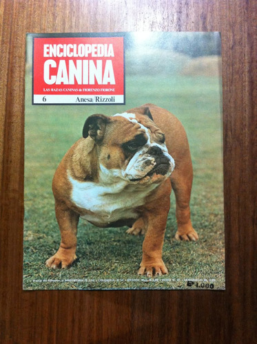 Enciclopedia Canina Fascículo Nº 6 Antigua