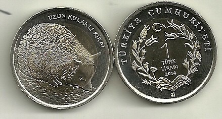 Moneda Turquia Año 2014 Bimetalica 1 Lira Fauna Erizo