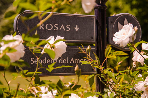 Imagen 10 de 10 de Nueva Parcela En Cementerio Privado Jardin De Paz Pilar