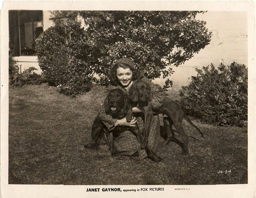 Foto Original De La Actríz Americana Janet Gaynor Fox Pictur