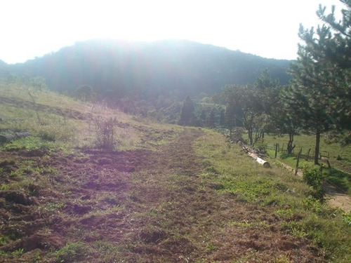 Imagem 14 de 15 de Sítio Em Ibiúna - 145.200m2 | 31497 - 31497