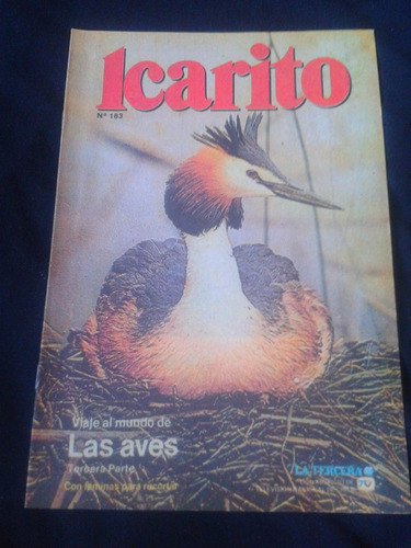 Icarito N° 183 Viaje Al Mundo De Las Aves
