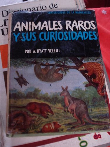 Animales Raros Y Sus Curiosidades - A. Hyatt Verrill