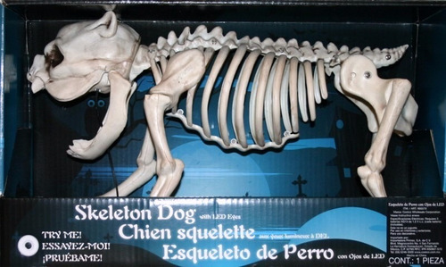 Esqueleto De Perro Con Luz Led En Los Ojos Para Hallowen