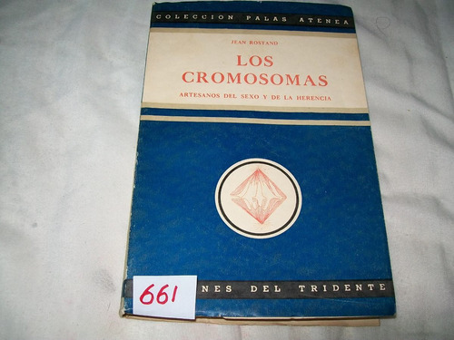 Los Cromosomas · Artesanos Del Sexo Y De La Herencia · 1945