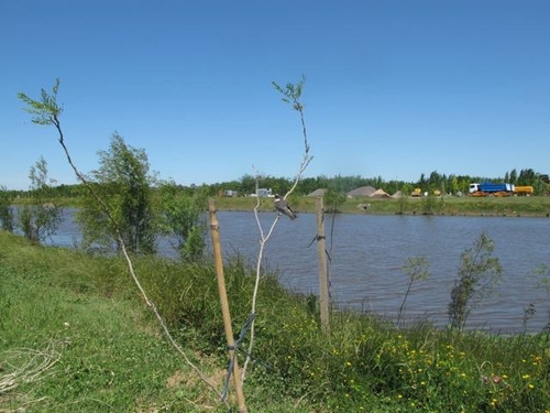 Chacras De La Reserva Ultimos Terrenos