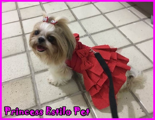 Imagem 3 de 6 de Lindo Vestido Diva Para Seu Pet