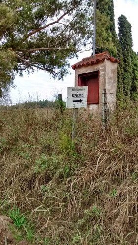 5 Hectáreas Con Mejoras En San Pedro