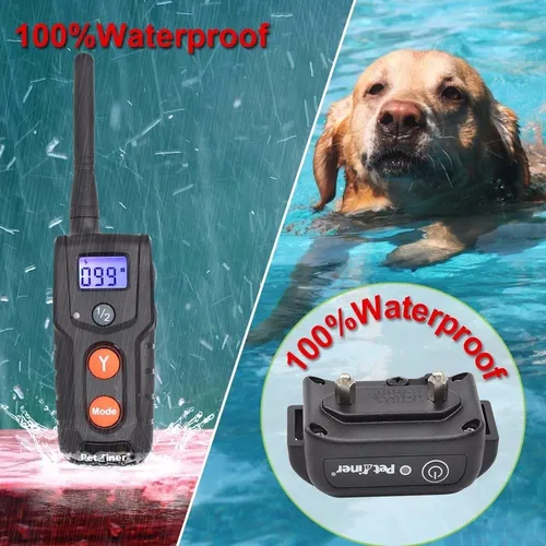 Collar Adiestramiento Canino Resistente Al Agua 300m