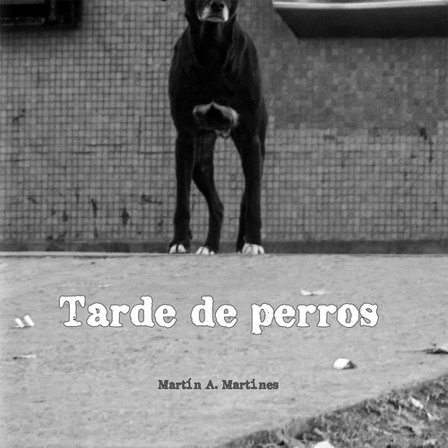 Libro De Fotografía Tarde De Perros De Martin Martines