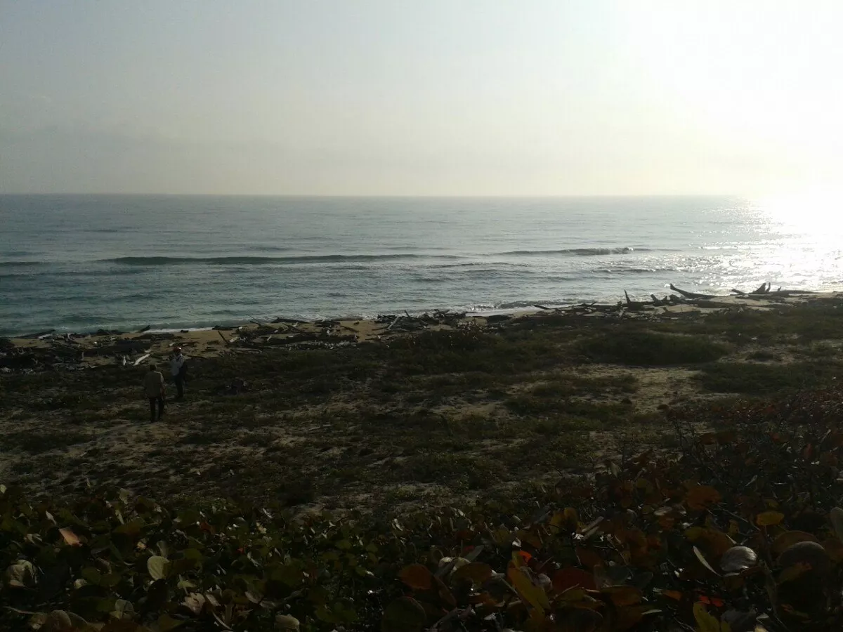 terreno con playa y laguna 9 hectáreas mercadolibre