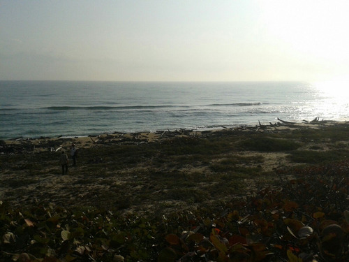 Imagen 1 de 8 de Terreno Con Playa Y Laguna 9 Hectáreas