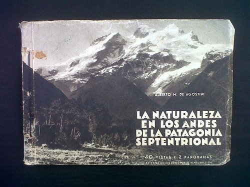 La Naturaleza En Los Andes De La Patagonia Septentrional