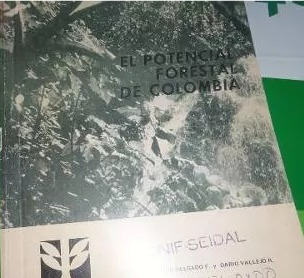 El Potencial Forestal De Colombia