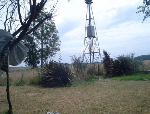 35 Hectareas En San Miguel Del Monte