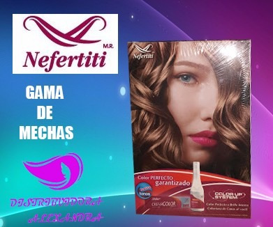 Oferta Gama De Mechas De Colores Tinte Nefertiti