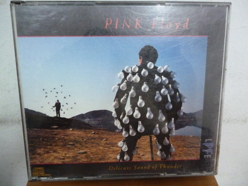 Pink Floyd Delicate Sound Of Thunder Cd Doble Americano