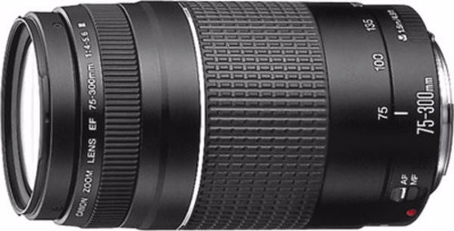 Objetivo Lente Canon Ef 75-300mm F/4-5.6 Iii T3i T2i 40d