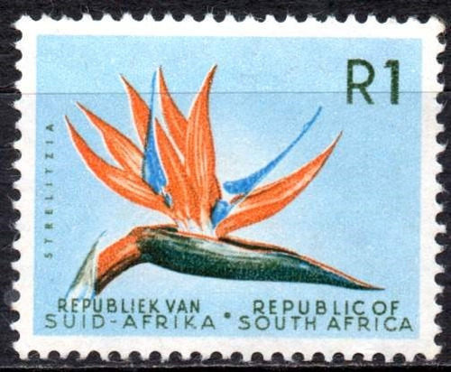 Sudáfrica 1961/62. R1 Con Flor Strelitzia, Filigrana Escudo