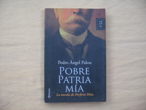 Pedro Ángel Palou, Pobre Patria Mía, Planeta, México, 2010,